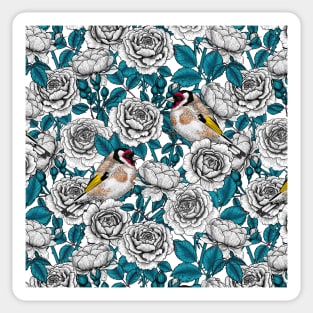 White rose flowers and goldfinch birds Sticker